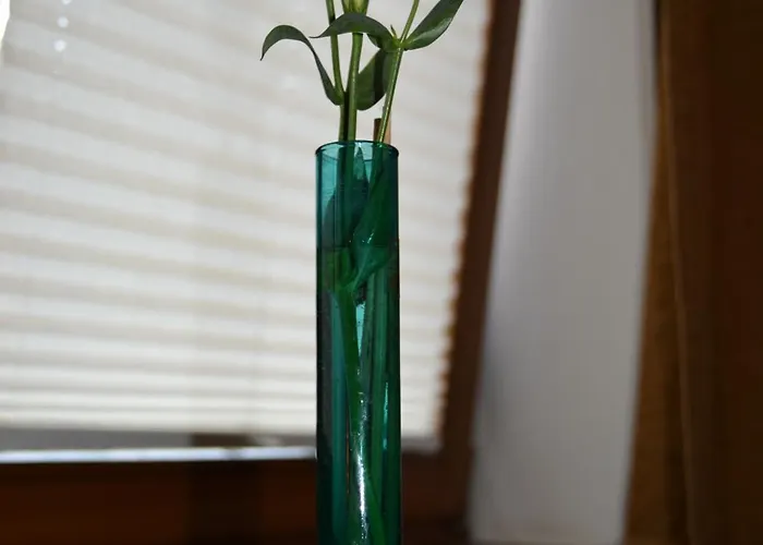 Hofreit Am Bierkeller 3*