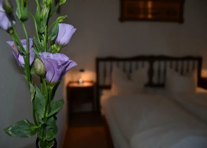 Gasthuis Hofreit Am Bierkeller 3*